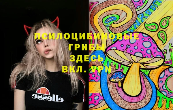 кокс Алексин